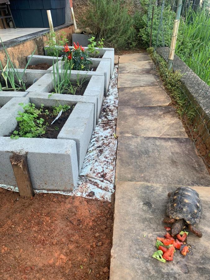 Maravilha Na Serra - Proximo Ao Centro Holiday home